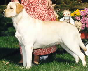 CH Campbellcroft Watermark Paige