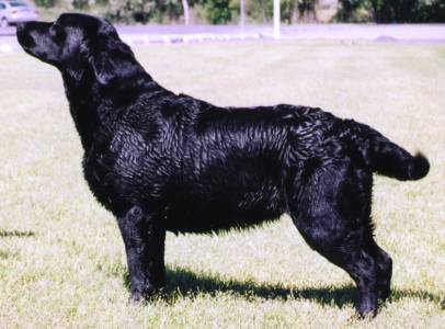 Blackwaters Remarkable