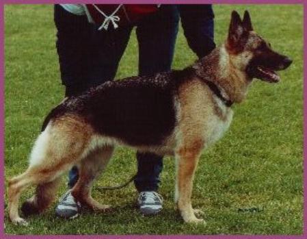 FIN CH Bacteroides Nasty