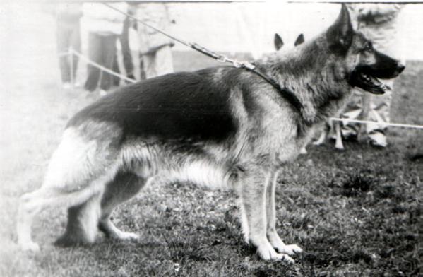 V19 Anderl vom Noricum