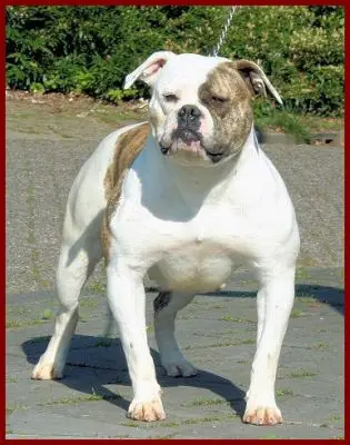 Notorious Ruby