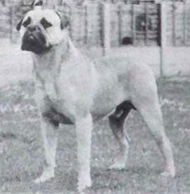 CH Graecia Centaur