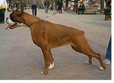 CH Vanbox La-Primavera