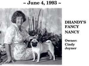 Dhandy'S Fancy Nancy