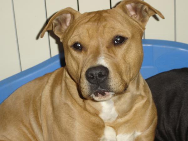 Virgin (sans affixe)