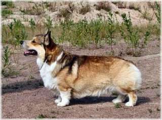 INT,FIN.EST.LIT,S CH Pirtek Argento Vivo