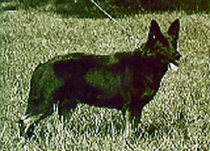 SG Isar vom Steinacker