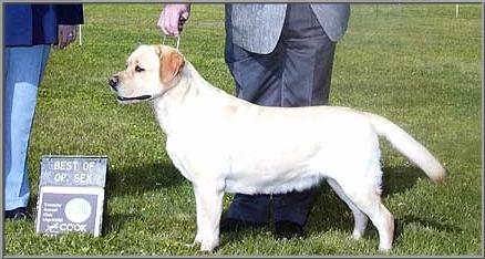 HySpire Major Attraction