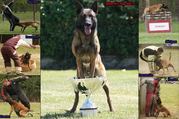 SELECTIFS 2010/2011 Aron du Plo de la Bise