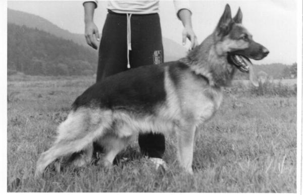 Opako vom Farbenspiel