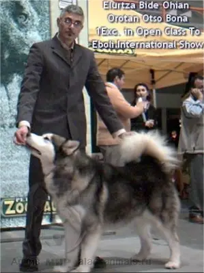 Elurtza Bide Ohian-Orotan-Otso-Bona