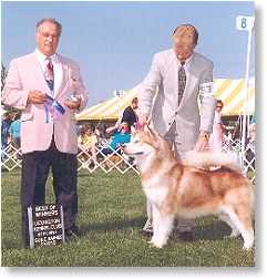 CH Artic-Luv's Red Jake