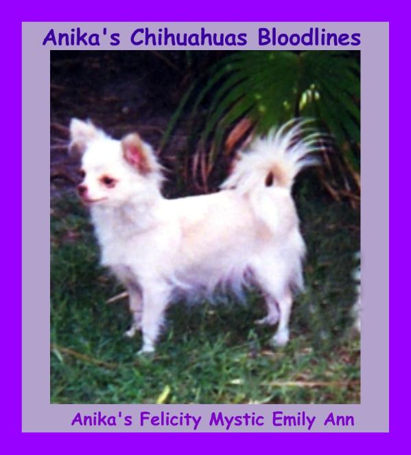 Anika's Felicity Mystic Emily Ann