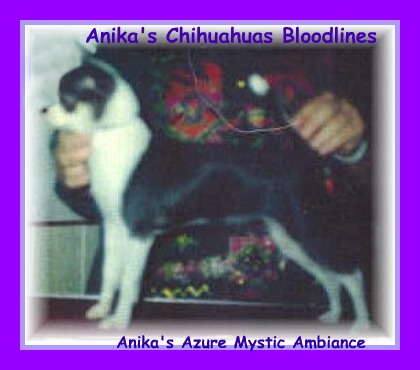 Anika's Azure Mystic Ambiance