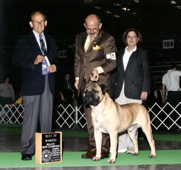 CH Leatherneck Shock N' Awe