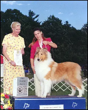 Candy's Dream of Gold