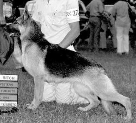 ROM Eko-Lan's Elaina