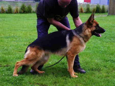 V Hanna vom Stefanopeler Tal