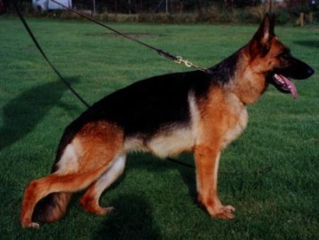 V Nanni vom Altenberger Land