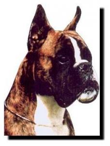 Gerson de l'Oree d'Hastings