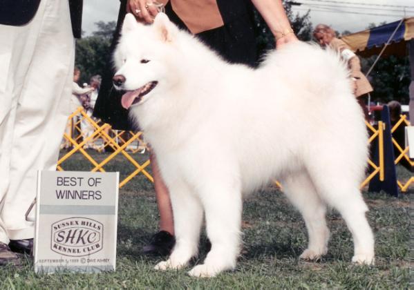 Ubor's Dream Diamond Maximum