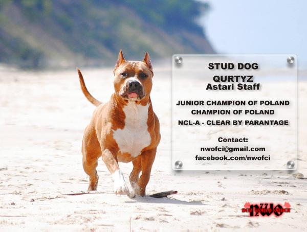 CH.PL, J.CH.PL QURTYZ Astari Staff