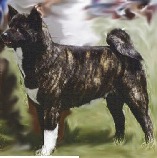 Maxo's Unchin Shindo No TriR