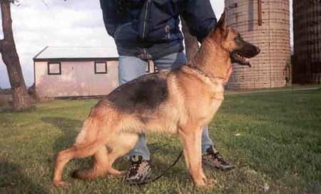 V (RO) Uma de Amalaberg