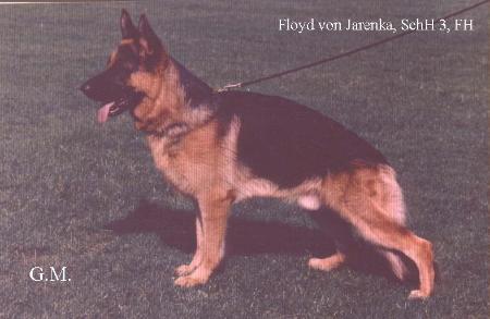 V Floyd von Jarenka