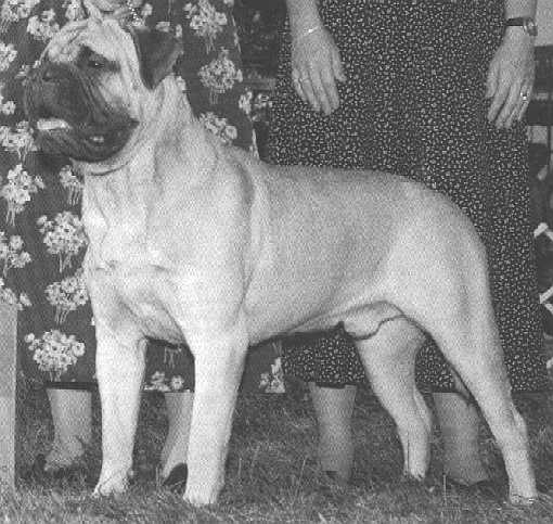 CH Shady Oak Fair Warning