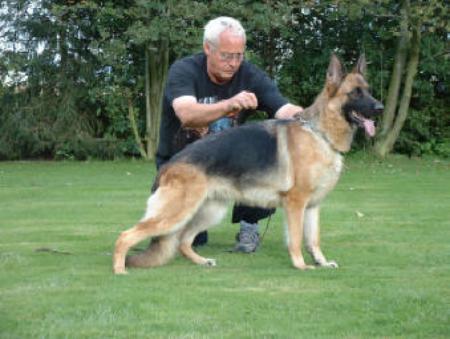 V Hera von Haus Sascored