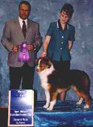 AKC/ASCA CH Waterfall's St Nicholas