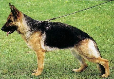 V Roxy vom Farbenspiel