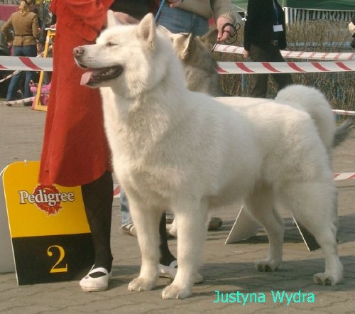 India z Snieznej Doliny