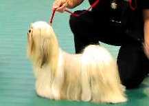 Khalwalk Moet et Chandon at Prajna