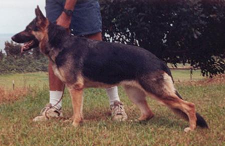 Ursa von Fuerstenberg