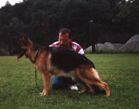 Babsi von der Biberau