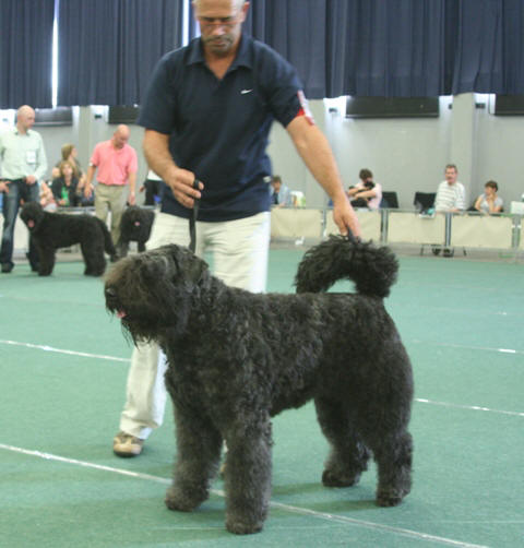 Essi Larissa v.d. Nevelhoeve