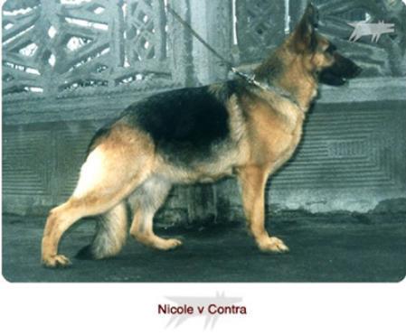 Nicole von Contra