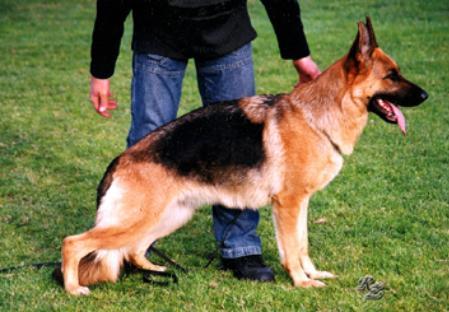 VA1(YU) V55 BSZS'03 Anna aus Agrigento