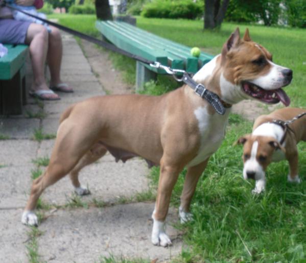 Bella Iriss Djessika