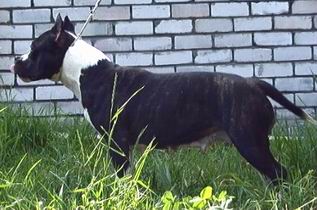 Unigo Udacha Vsegda s Toboj