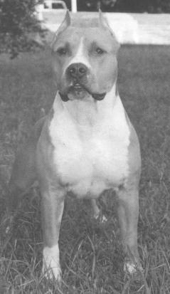 EWW, INT.CH. Instal Feierverk