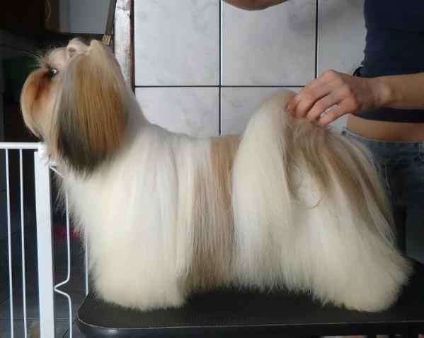 Whisborne Milk'n Honey