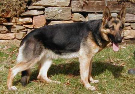 Hexe vom Nesselbach