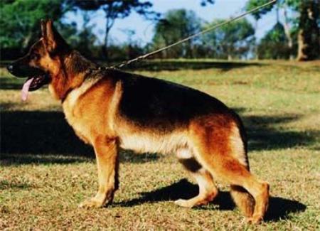 Hans do Cones do Sul