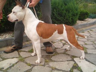 INT.CH. KPC POETRY IN MOTION Lesoto