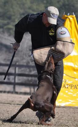 Bruno vom Wustensturm