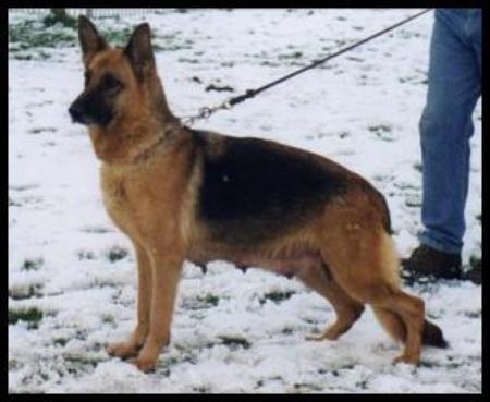 V Hixi aus der Teufelsschlucht