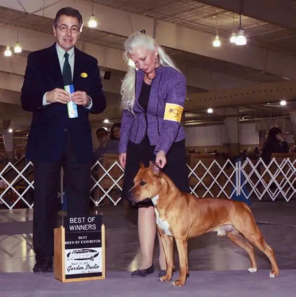 Dapple Hills Let the Drama Begin